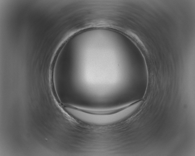 X0000082931424200702152136