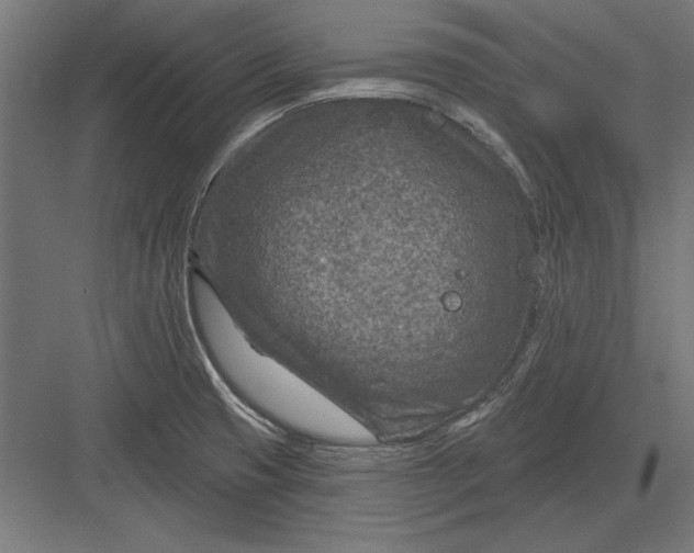 X0000082931425200702152136