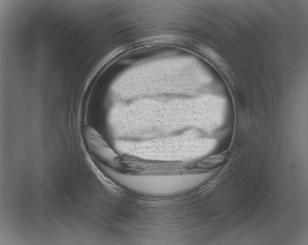 X0000082931426200702152136