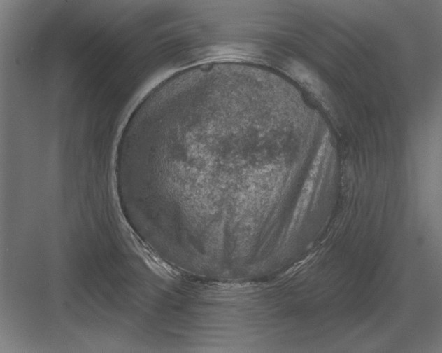 X0000082931427200702152136