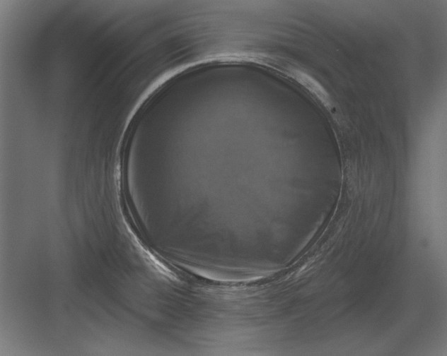 X0000082931428200702152136