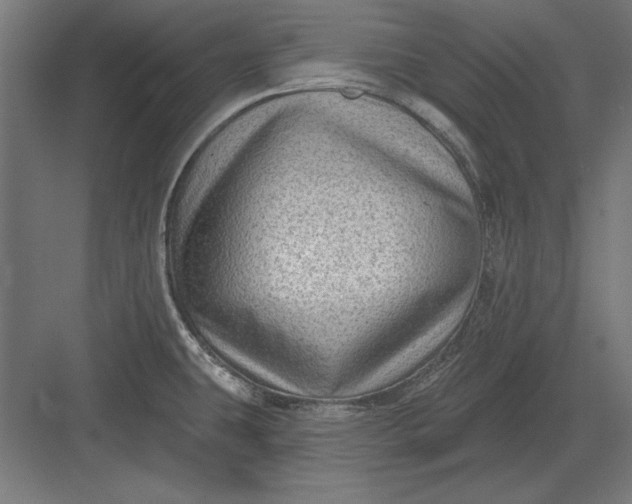 X0000082931431200702152136