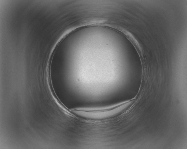 X0000082931432200702152136