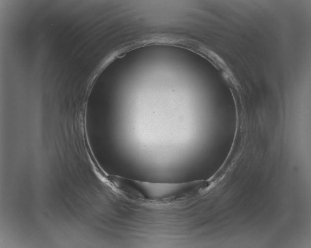 X0000082931433200702152136