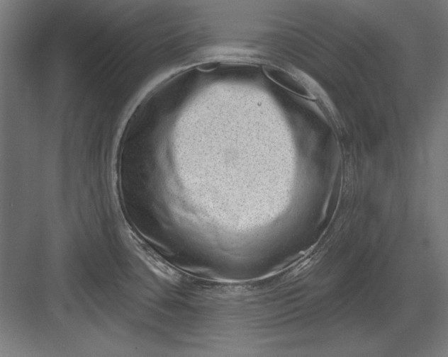 X0000082931435200702152136