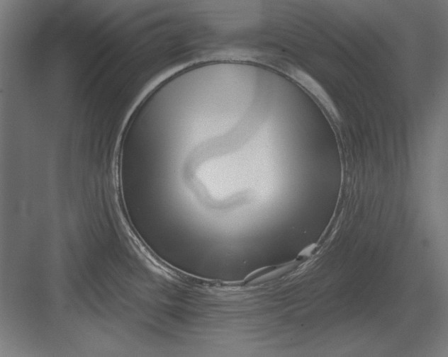 X0000082931436200702152136