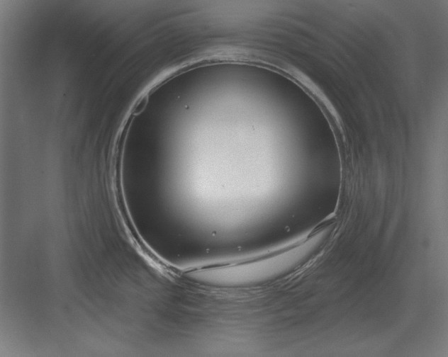 X0000082931437200702152136