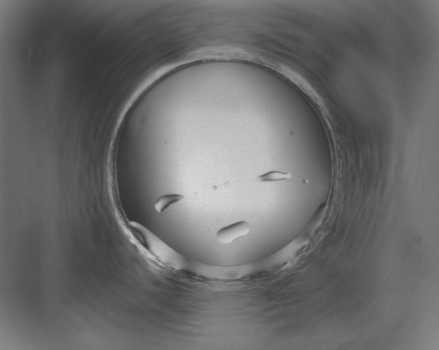 X0000082931440200702152136