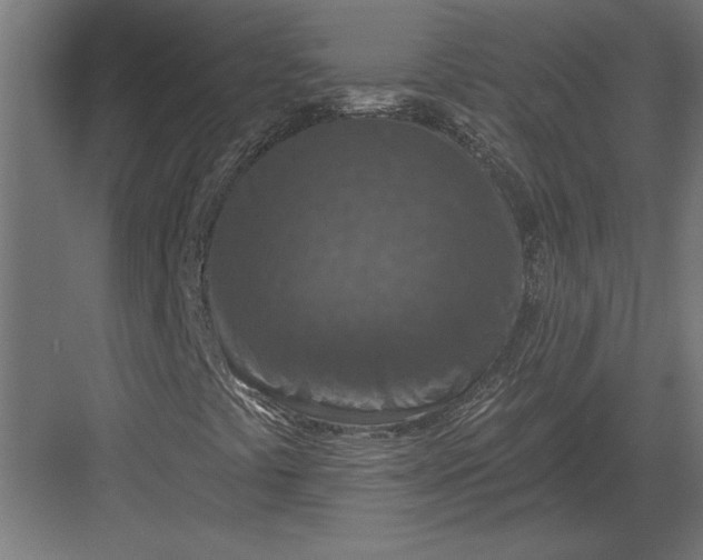 X0000082931441200702152135