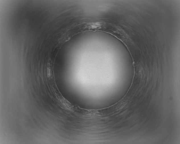 X0000082931442200702152135