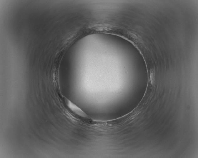 X0000082931444200702152135