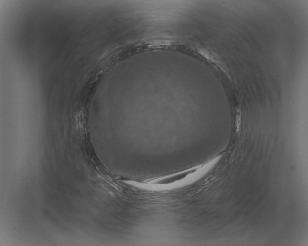 X0000082931445200702152135