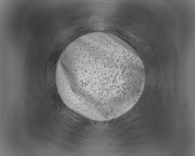 X0000082931446200702152135