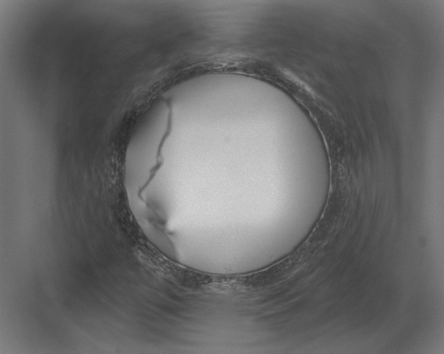 X0000082931447200702152135