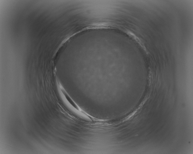 X0000082931449200702152135