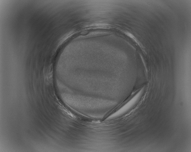 X0000082931450200702152135