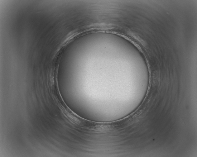 X0000082931451200702152135