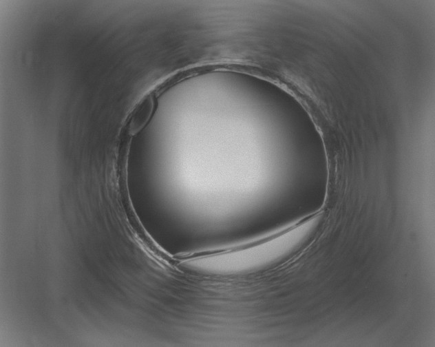 X0000082931452200702152135