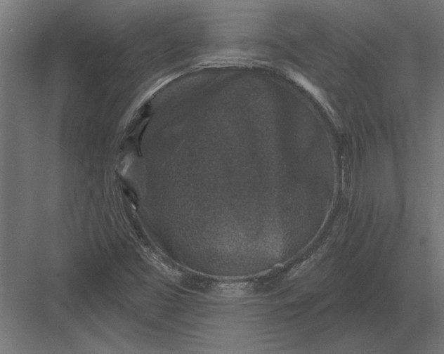 X0000082931453200702152135