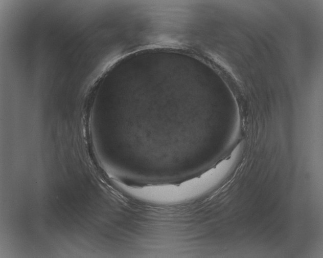 X0000082931455200702152135