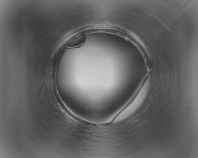 X0000082931456200702152135