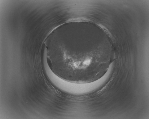 X0000082931457200702152135