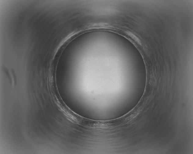 X0000082931458200702152135