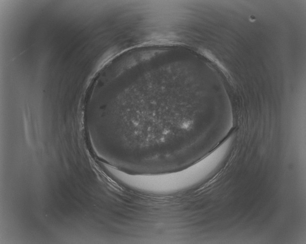 X0000082931459200702152135