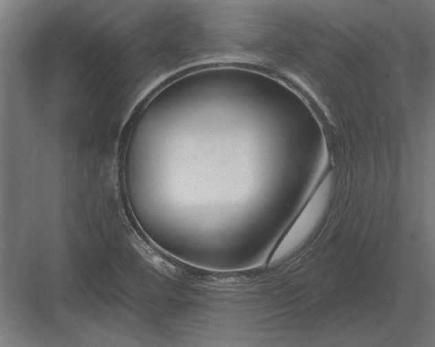 X0000082931460200702152135