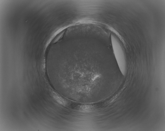 X0000082931461200702152135