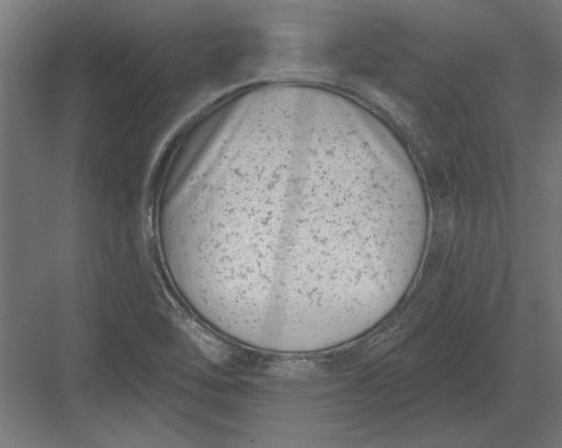 X0000082931462200702152135