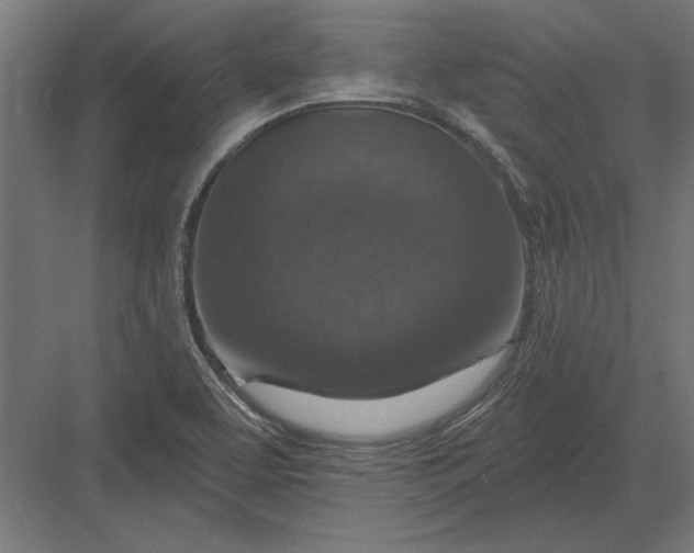 X0000082931463200702152135