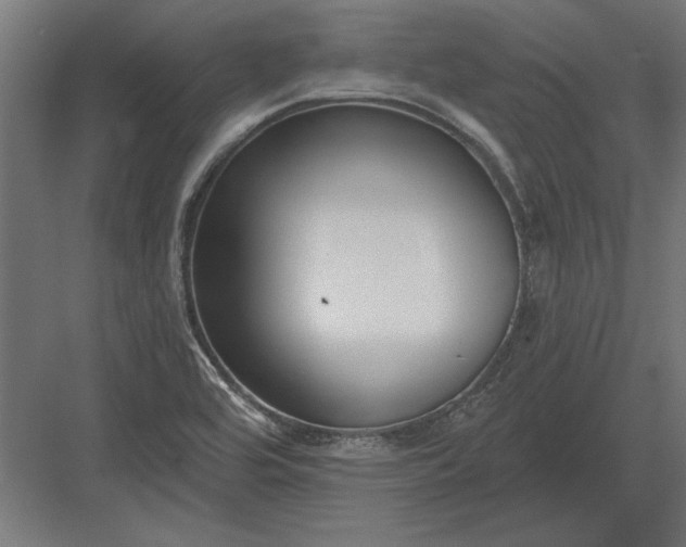 X0000082931464200702152135