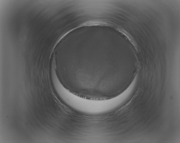 X0000082931465200702152135