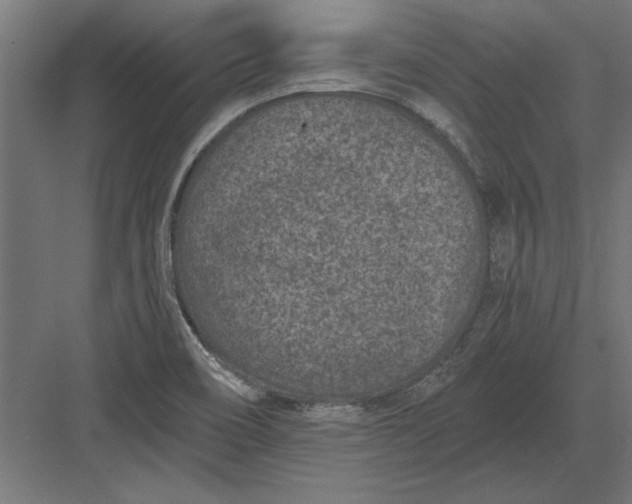 X0000082931466200702152135