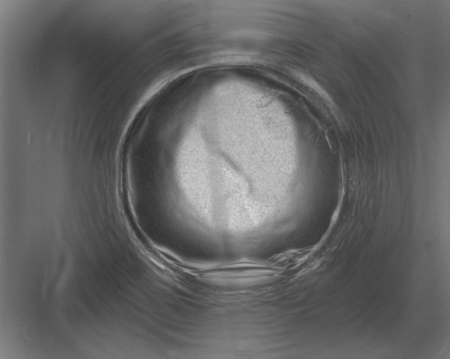 X0000082931467200702152135