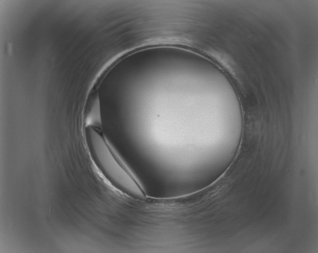 X0000082931468200702152135