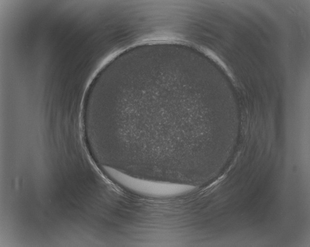 X0000082931469200702152135