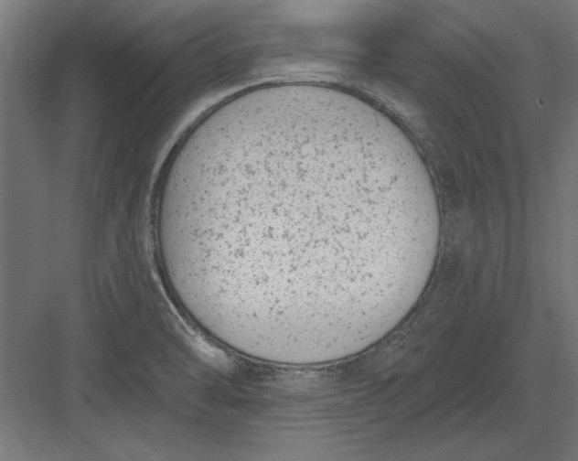 X0000082931470200702152135