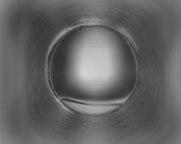 X0000082931472200702152135