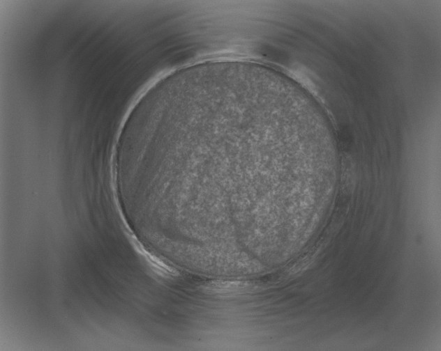 X0000082931474200702152135