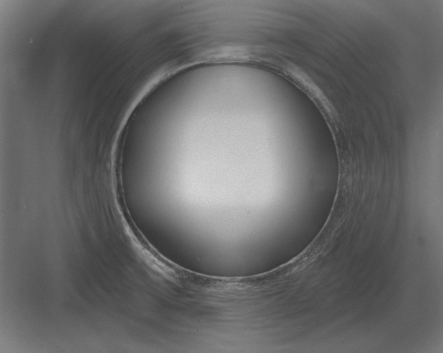 X0000082931475200702152135