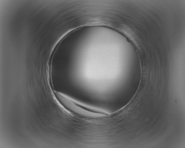 X0000082931476200702152135