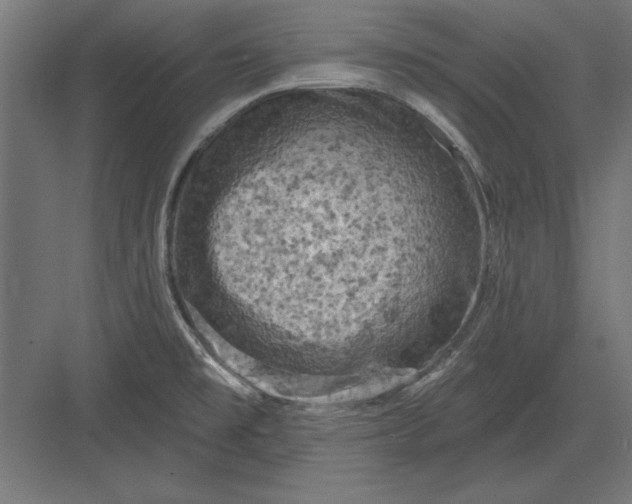 X0000082931477200702152135