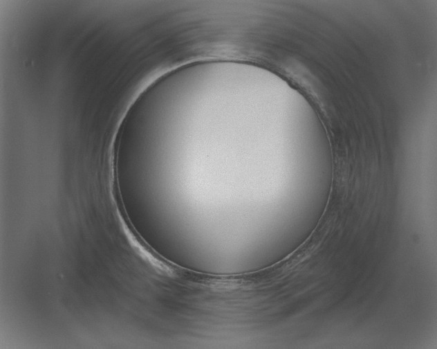 X0000082931479200702152134