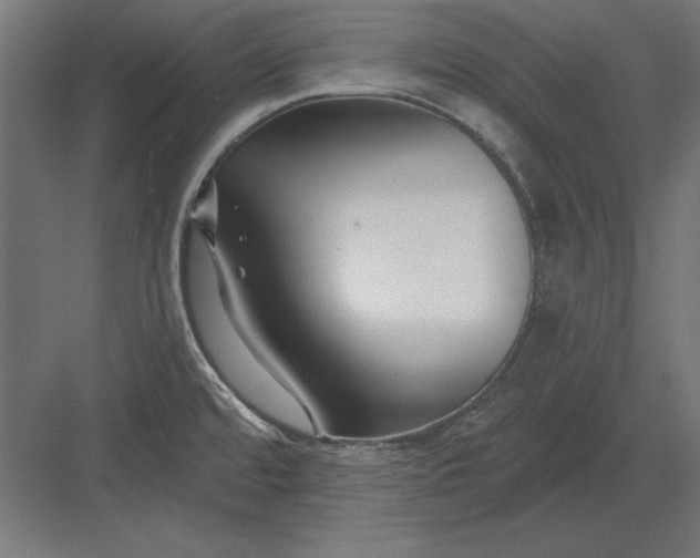 X0000082931480200702152134