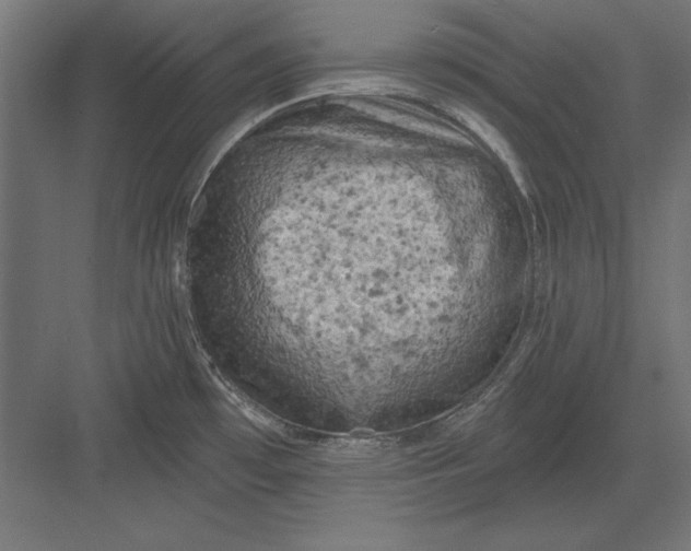 X0000082931481200702152134