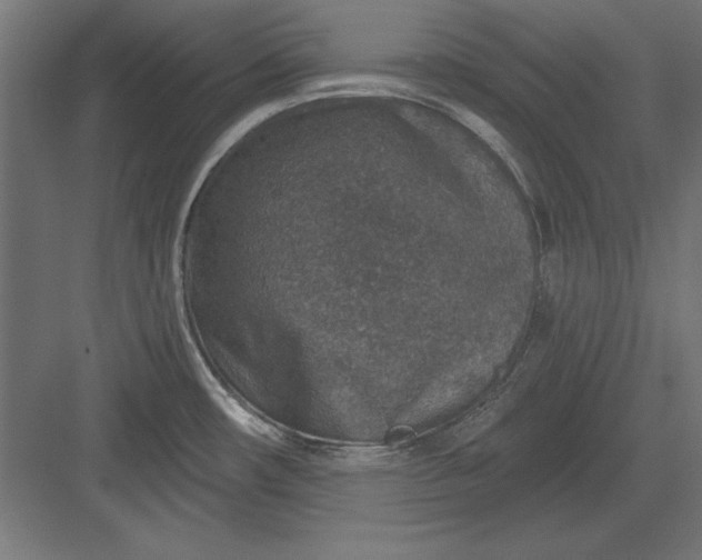 X0000082931482200702152134