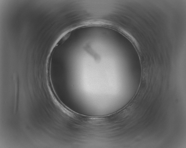 X0000082931483200702152134