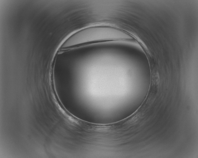 X0000082931484200702152134